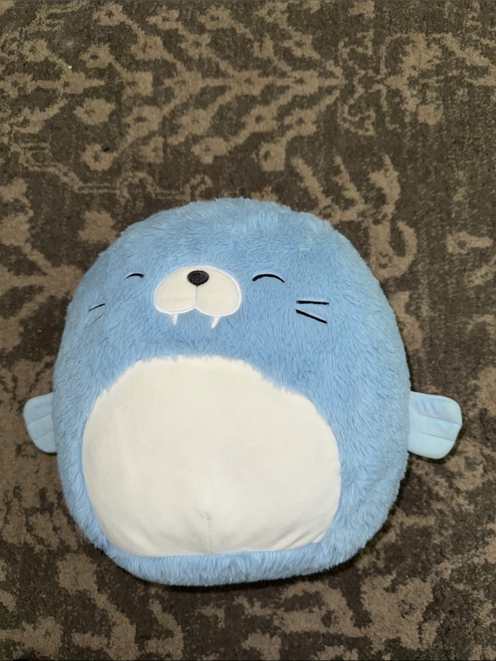 New missing tag Harvey Walrus Squishmallow